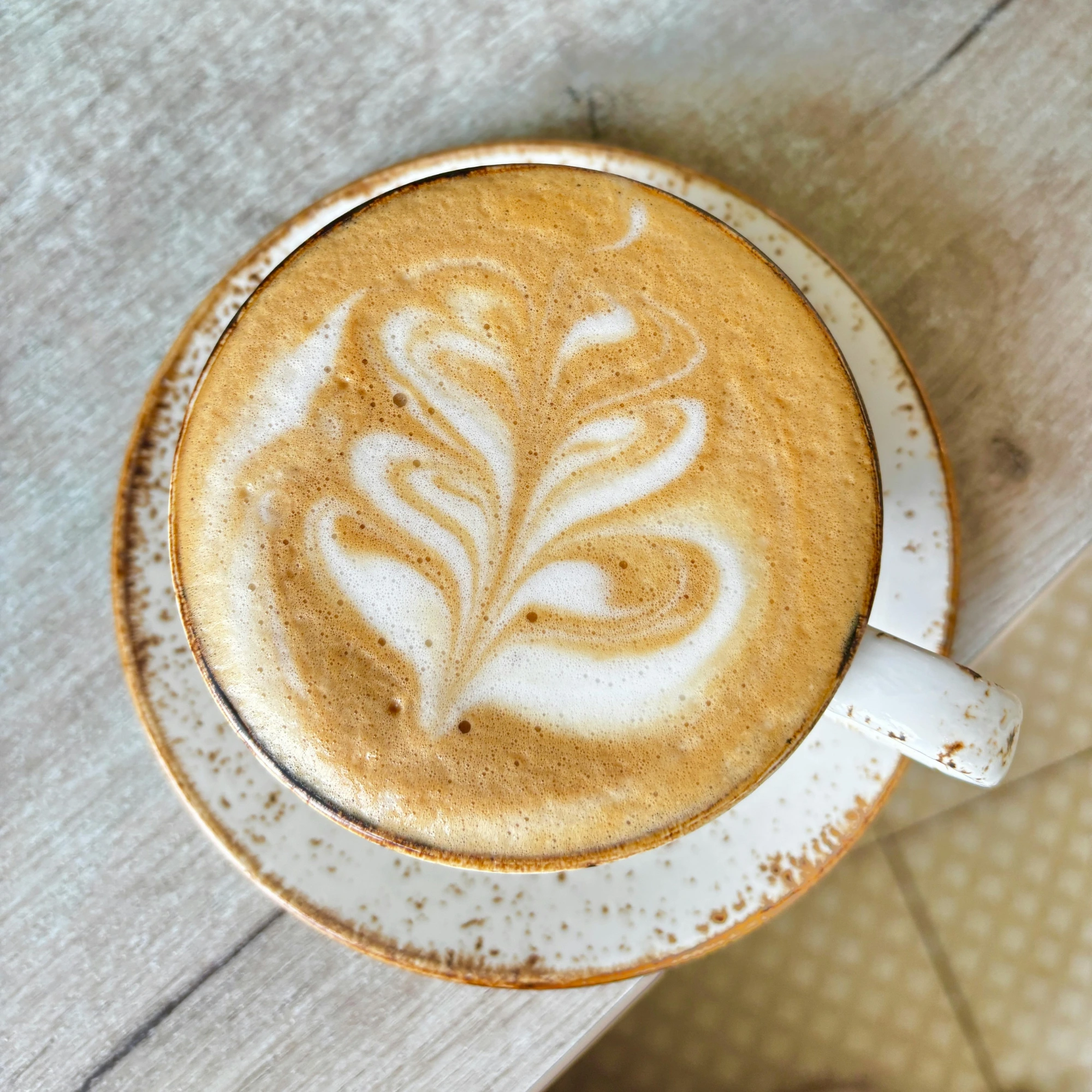 Super Matcha Latte Cacao